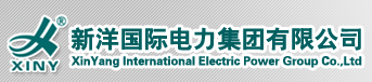 新洋国际电力集团有限公司