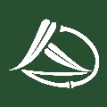 淡竹教育培训学校