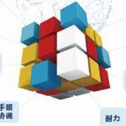 锦州天使教育咨询有限公司