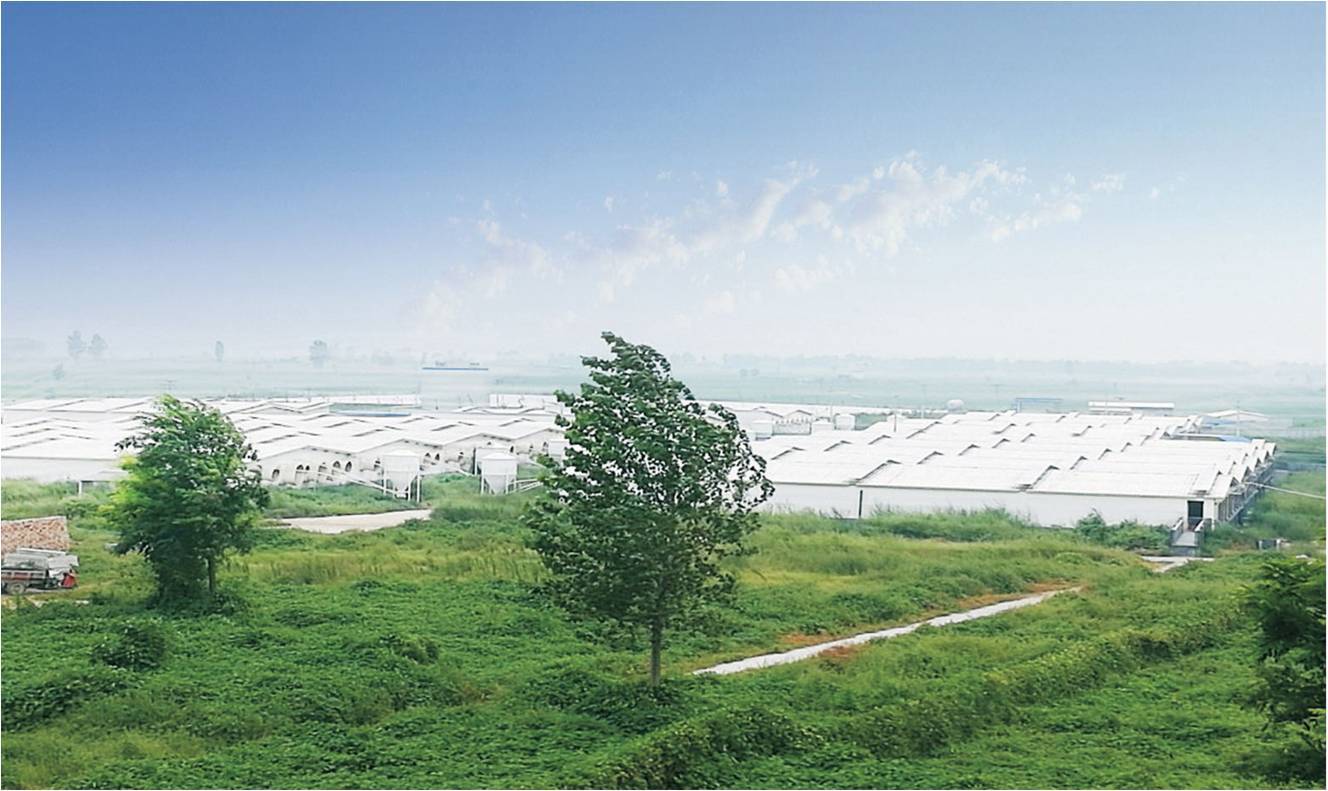 厂区