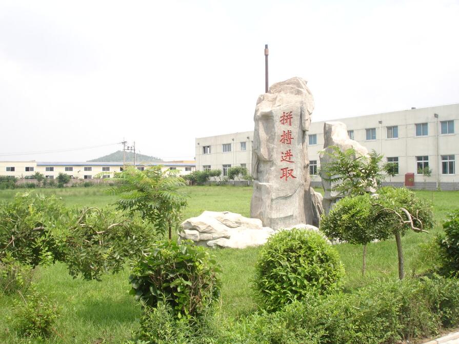 公司环境